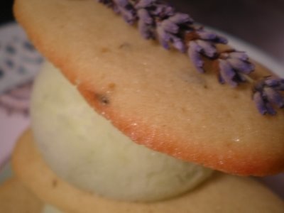 lavender, gin and honey ice cream with lavender biscuits